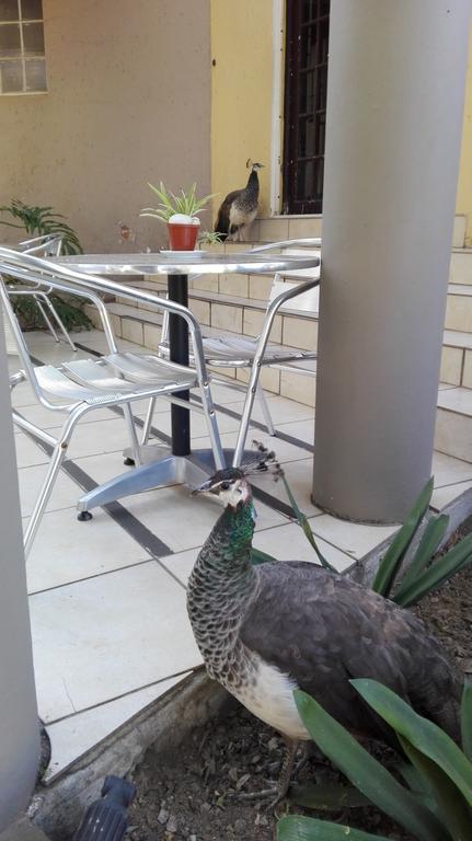 Villa Via Hotel Midrand Εξωτερικό φωτογραφία
